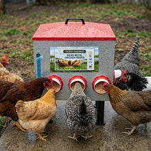 Load image into Gallery viewer, Rainproof metal chicken feeder with 55lbs capacity and adjustable