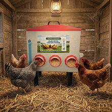 Load image into Gallery viewer, Rainproof metal chicken feeder with 55lbs capacity and adjustable