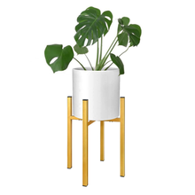 Load image into Gallery viewer, Amazon 2 Pack Lemon Gold Adjustable Metal Plant Stand with White Pot and Green Plant for Home Garden Indoor Display