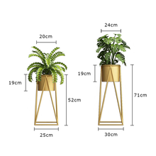 Load image into Gallery viewer, Two gold metal flower pot racks with plants, showcasing dimensions for indoor and outdoor use, ideal for home decoration.