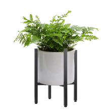 Load image into Gallery viewer, Matte black metal plant stand holding a white flower pot with green fern, adjustable and reversible design for indoor and outdoor use.