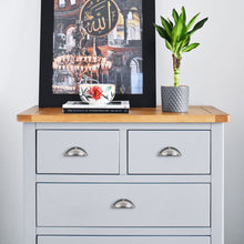 Load image into Gallery viewer, Gray cabinet with satin nickel half round shell handles, topped with books, a plant, and artwork in a modern room.